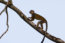 Ecuador